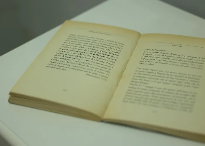 O Vascio Da Sirena *